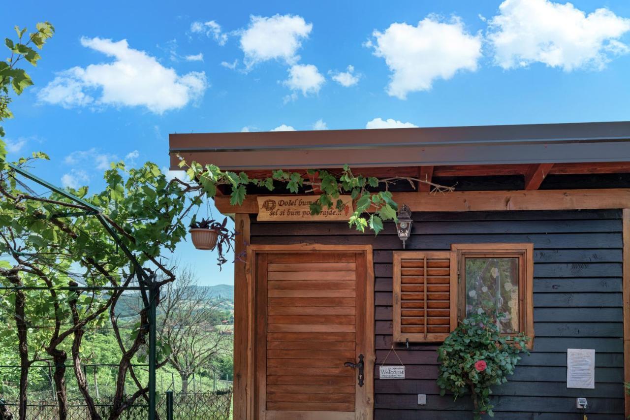Villa Kuca Za Odmor Rukova Hiza Donja Stubica Exterior foto